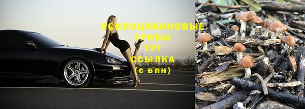 гашиш Заводоуковск